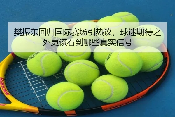 樊振东回归国际赛场引热议，球迷期待之外更该看到哪些真实信号